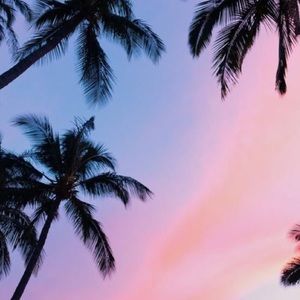 Meet your Posher, Miranda